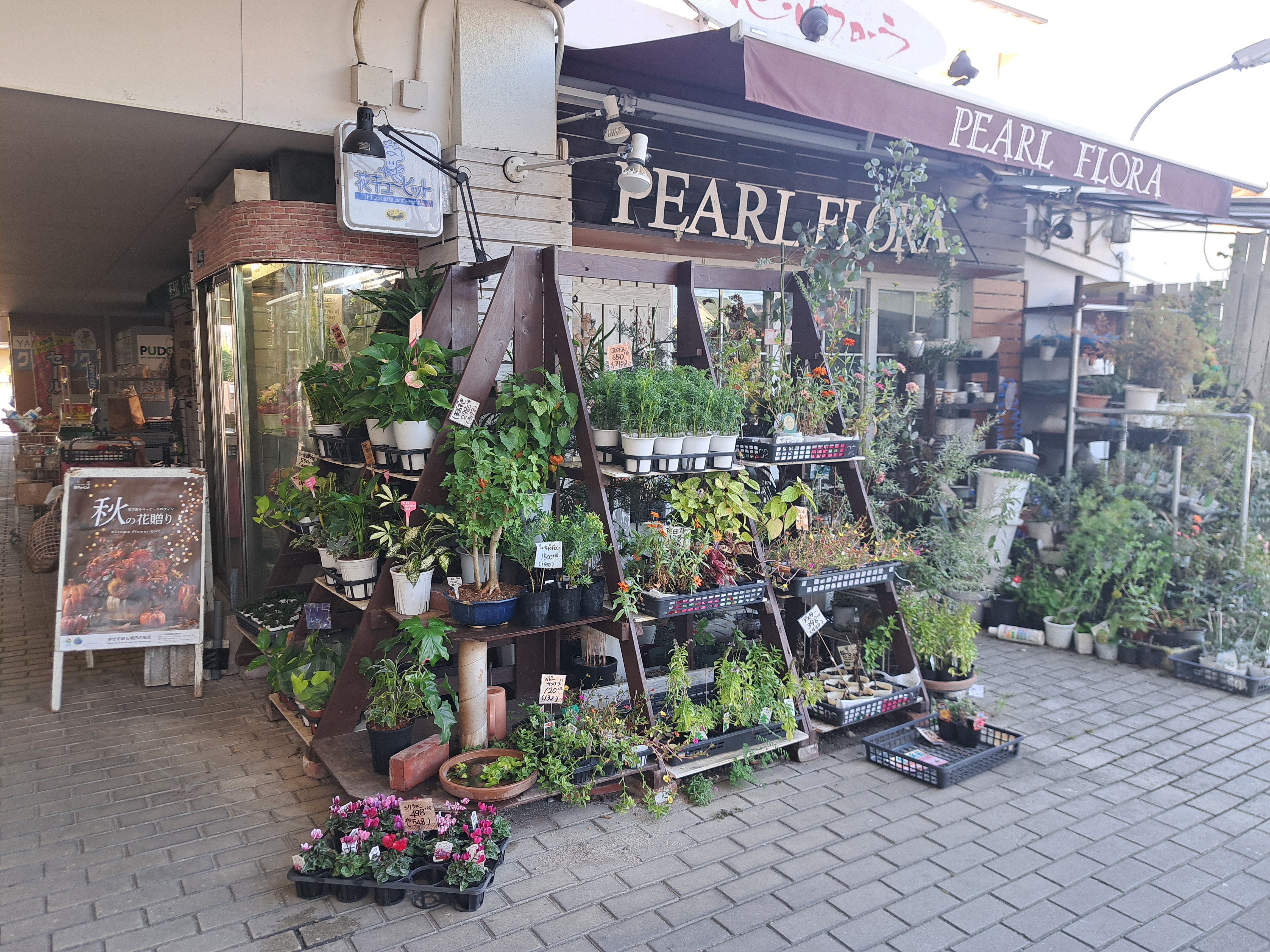 パールフローラ フジ道後店
